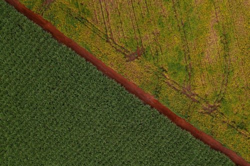 Paraguai: O Potencial Imobiliário Impulsionado pela Indústria Alimentícia em Ascensão