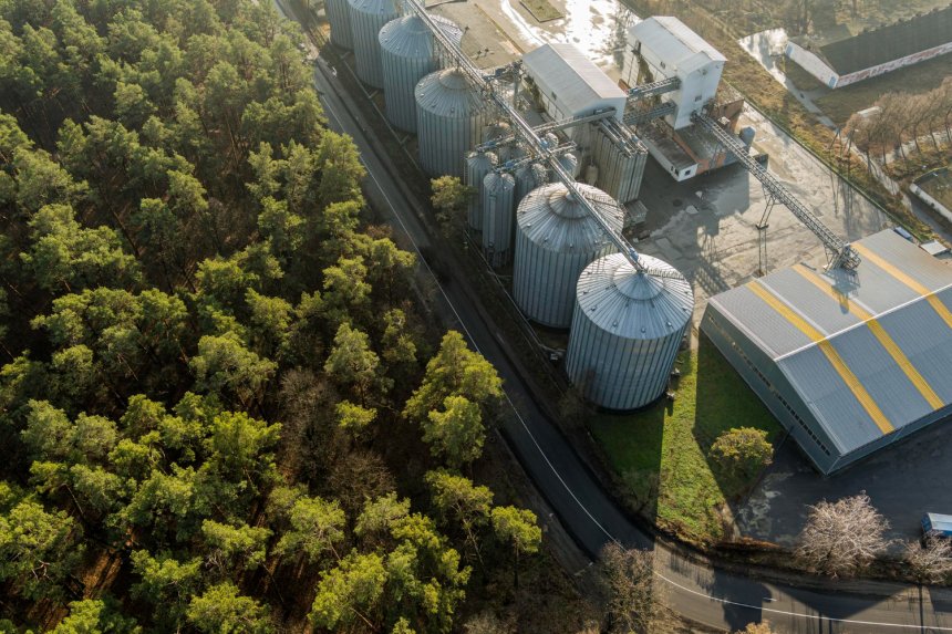 Biocombustibles en Paraguay: Una Apuesta por la Sostenibilidad y la Inversión Inmobiliaria